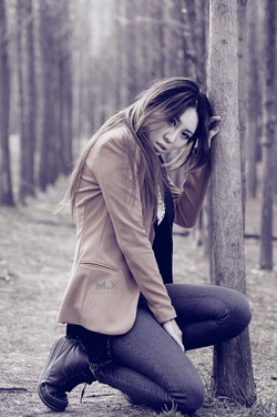 野花免费在线观看高清视频用户体验