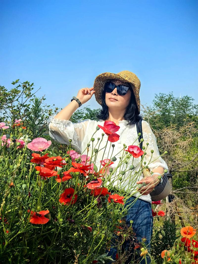 野花免费观看在线播放下载二维码